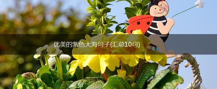 优美的紫色大海句子(汇总10句),第1张