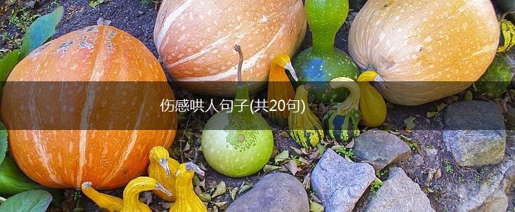 伤感哄人句子(共20句),第1张