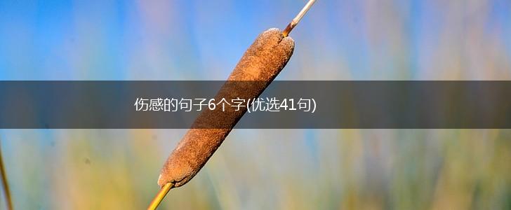 伤感的句子6个字(优选41句),第1张