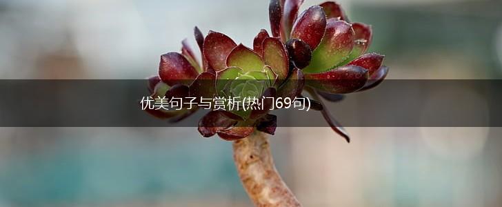优美句子与赏析(热门69句),第1张