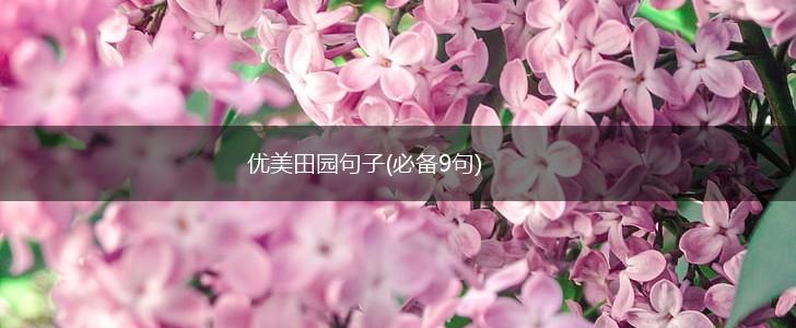 优美田园句子(必备9句),第1张