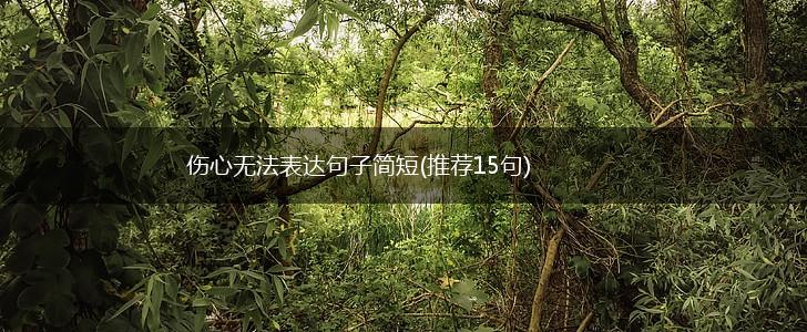伤心无法表达句子简短(推荐15句),第1张