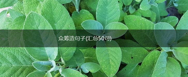 众筹造句子(汇总50句),第1张