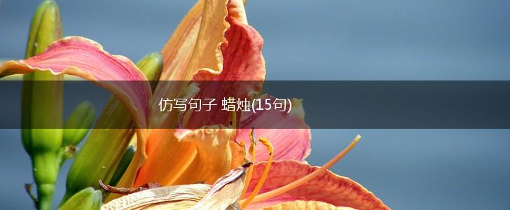 仿写句子 蜡烛(15句),第1张