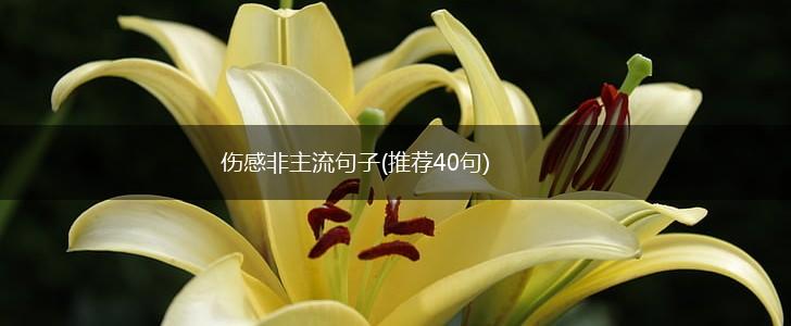 伤感非主流句子(推荐40句),第1张