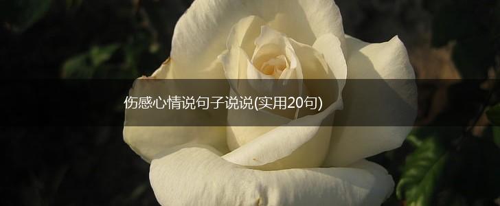 伤感心情说句子说说(实用20句),第1张
