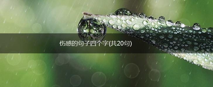 伤感的句子四个字(共20句),第1张