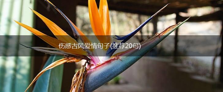 伤感古风爱情句子(推荐20句),第1张