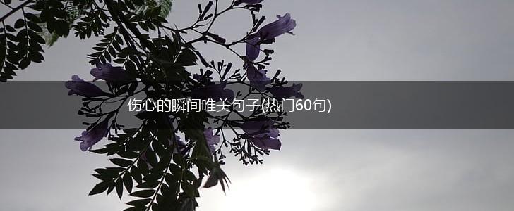 伤心的瞬间唯美句子(热门60句),第1张
