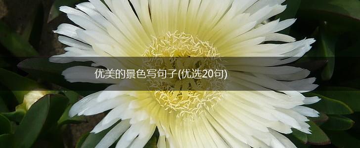 优美的景色写句子(优选20句),第1张