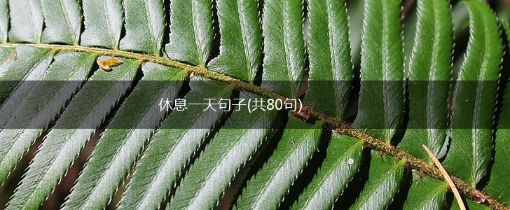 休息一天句子(共80句),第1张