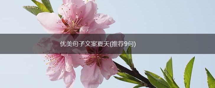 优美句子文案夏天(推荐9句),第1张