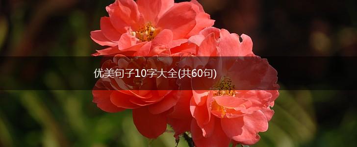 优美句子10字大全(共60句),第1张