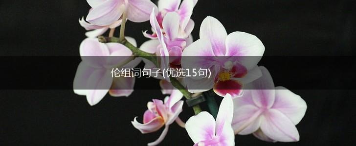 伦组词句子(优选15句),第1张