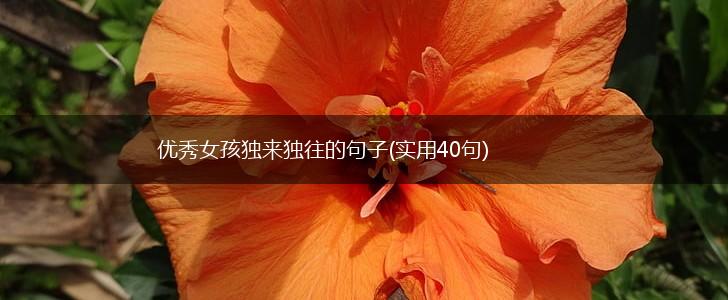 优秀女孩独来独往的句子(实用40句),第1张