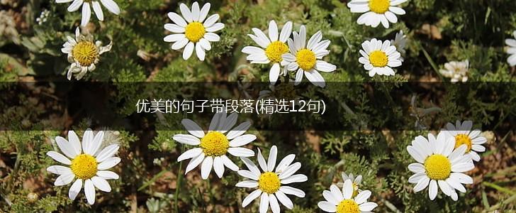 优美的句子带段落(精选12句),第1张