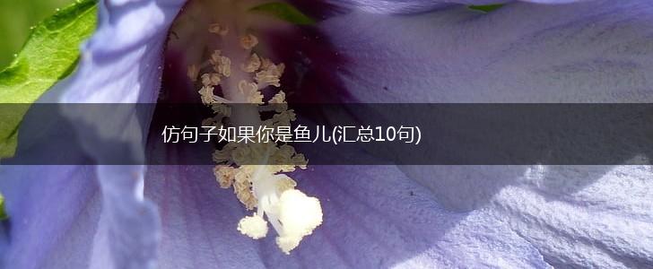 仿句子如果你是鱼儿(汇总10句),第1张