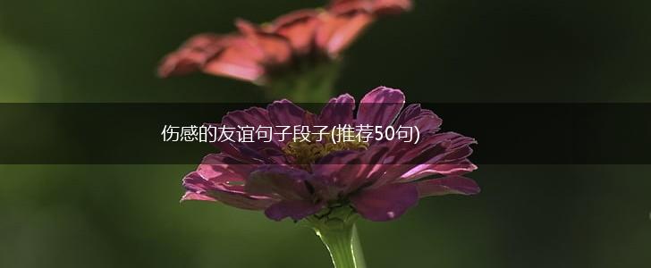 伤感的友谊句子段子(推荐50句),第1张