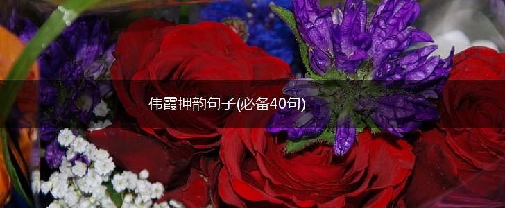 伟霞押韵句子(必备40句),第1张