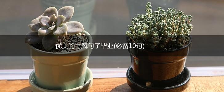 优美的古风句子毕业(必备10句),第1张