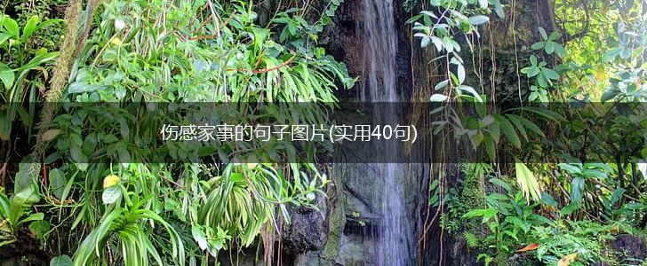 伤感家事的句子图片(实用40句),第1张