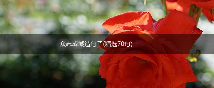 众志成城造句子(精选70句),第1张