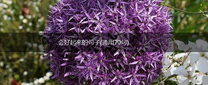 会好起来的句子(通用70句),第1张