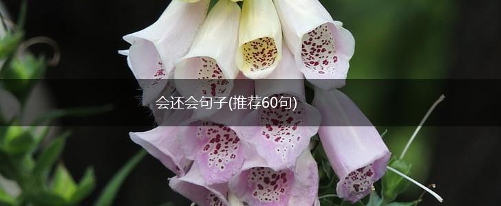 会还会句子(推荐60句),第1张