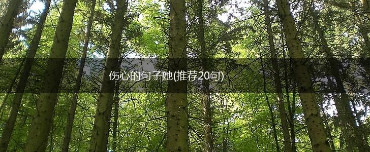 伤心的句子她(推荐20句),第1张