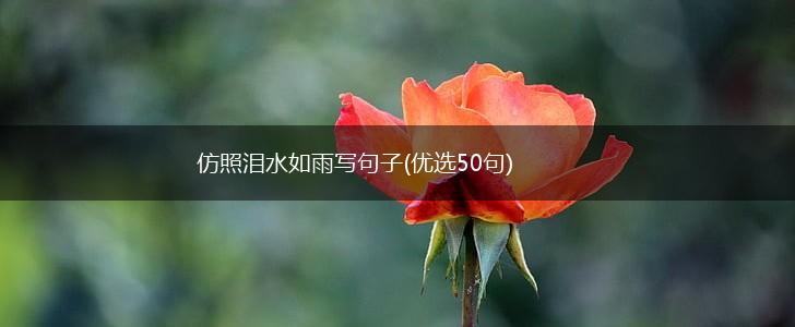 仿照泪水如雨写句子(优选50句),第1张