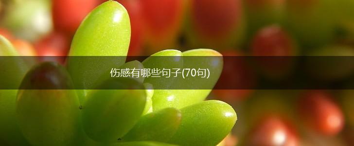伤感有哪些句子(70句),第1张