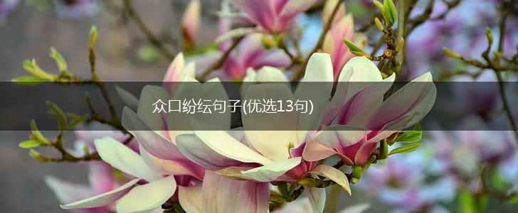 众口纷纭句子(优选13句),第1张