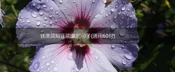 优美简短正能量的句子(通用60句),第1张