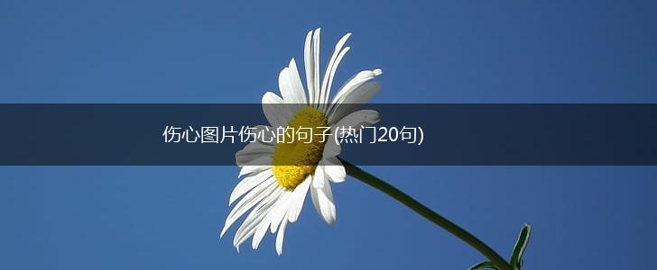 伤心图片伤心的句子(热门20句),第1张