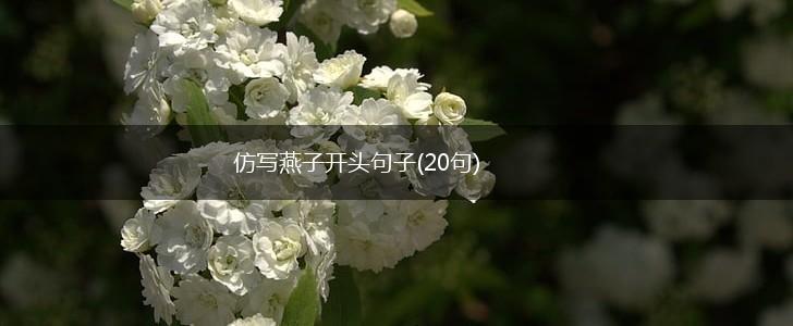 仿写燕子开头句子(20句),第1张