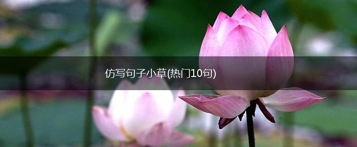 仿写句子小草(热门10句),第1张
