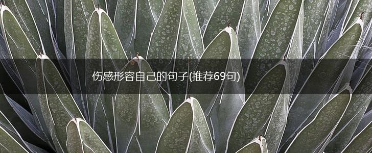 伤感形容自己的句子(推荐69句),第1张