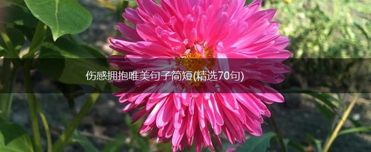 伤感拥抱唯美句子简短(精选70句),第1张