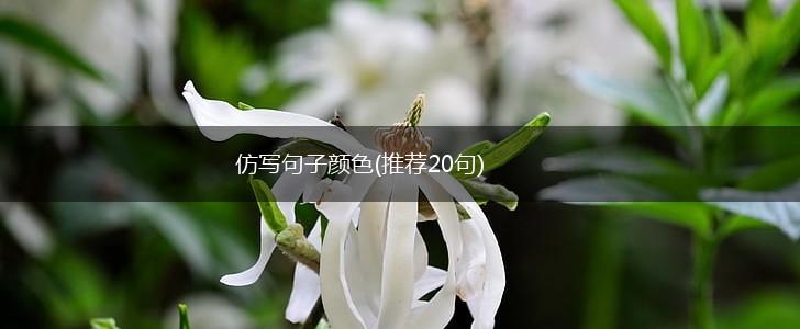 仿写句子颜色(推荐20句),第1张