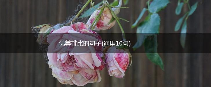 优美排比的句子(通用10句),第1张