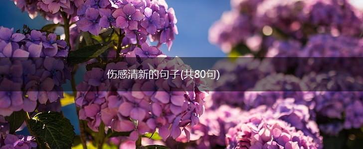 伤感清新的句子(共80句),第1张
