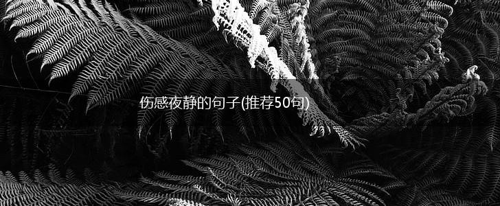 伤感夜静的句子(推荐50句),第1张