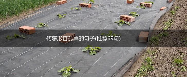 伤感形容孤单的句子(推荐69句),第1张