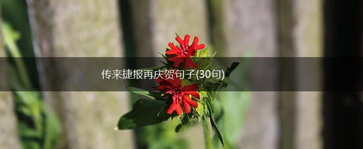传来捷报再庆贺句子(30句),第1张