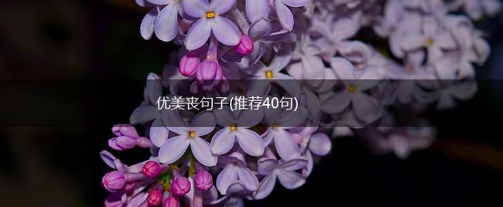 优美丧句子(推荐40句),第1张