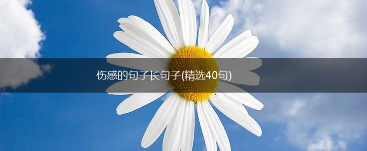 伤感的句子长句子(精选40句),第1张