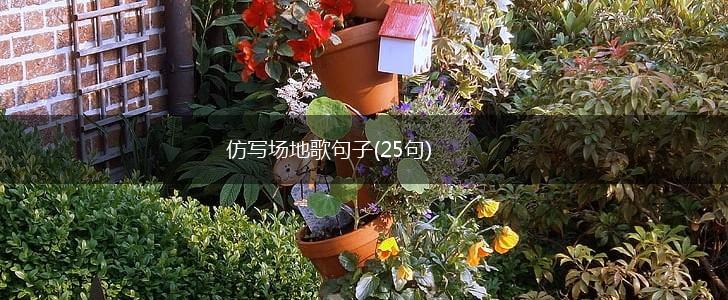 仿写场地歌句子(25句),第1张