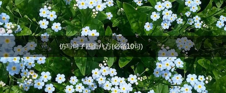 仿写句子四面八方(必备10句),第1张
