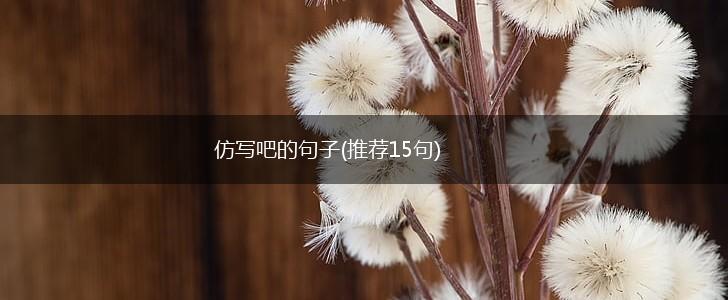 仿写吧的句子(推荐15句),第1张