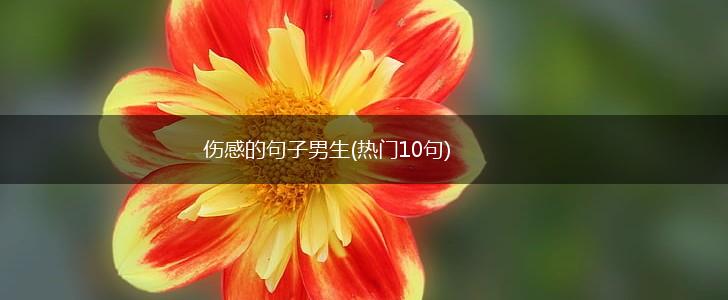 伤感的句子男生(热门10句),第1张